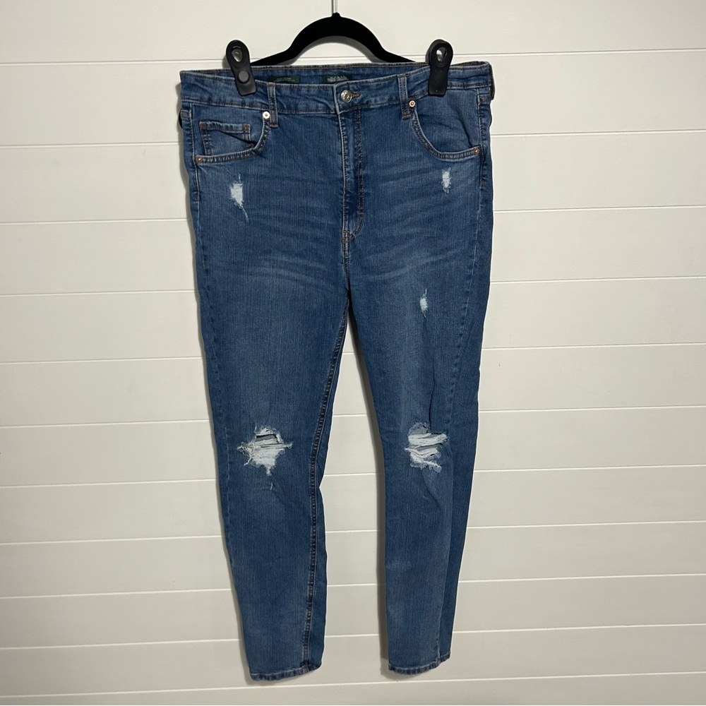 Wild Favle sz 16